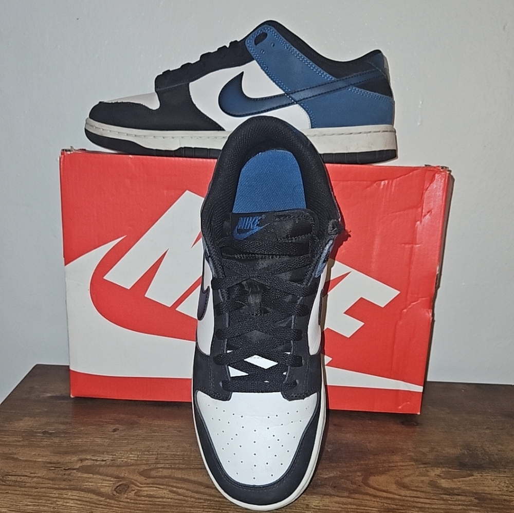 Nike Dunk Low Retro men sz 10